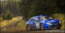 Pirelli Rally